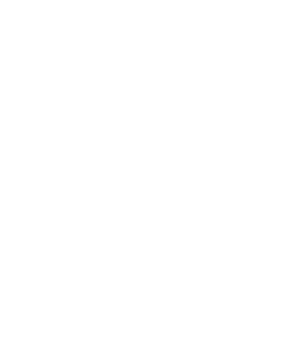 Logo uri final